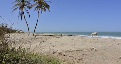 Ecolodge de Palmarin