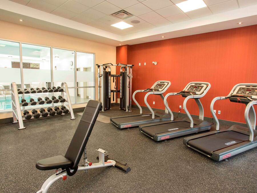 A gym with treadmills, a bench press, and a rack of dumbbells.