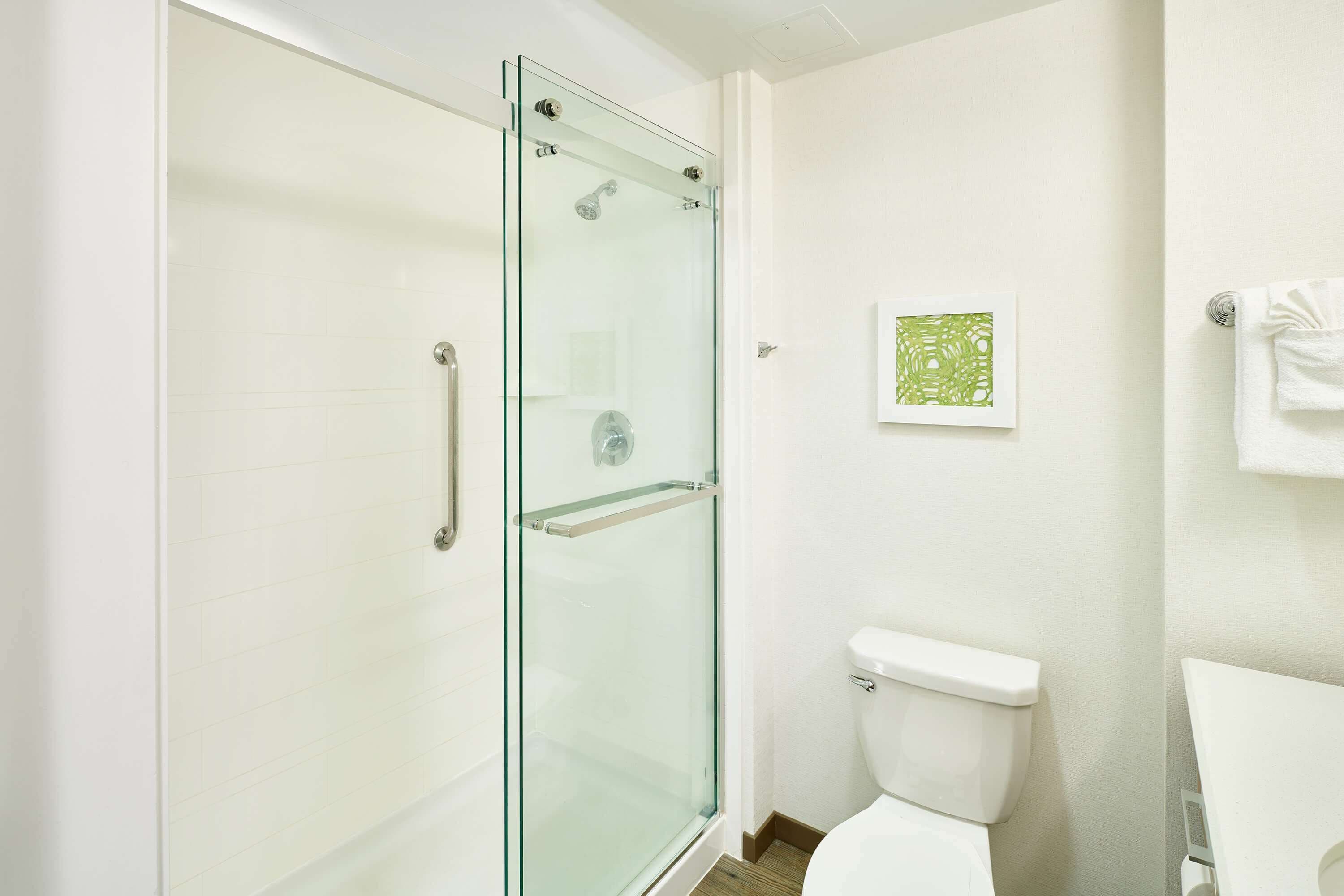 A modern bathroom with a glass-enclosed shower, a white toilet, and a framed artwork on the wall.