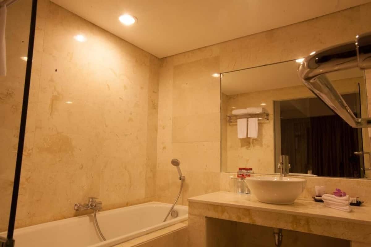 combined shower/bathtub, free toiletries, hair dryer, bathrobes