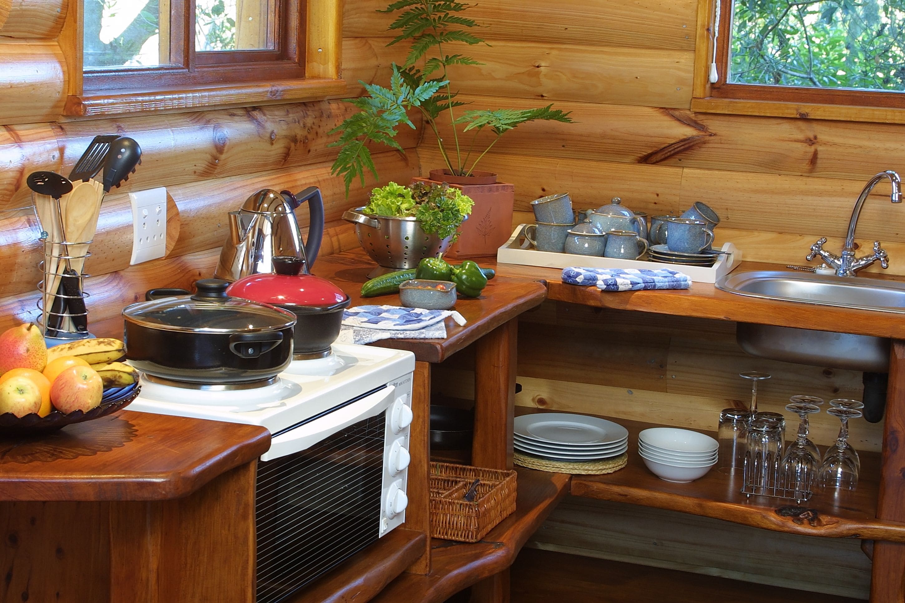 Una cocina rústica con paredes de madera, una estufa y un lavabo. Hay frutas, verduras y utensilios de cocina sobre la encimera.