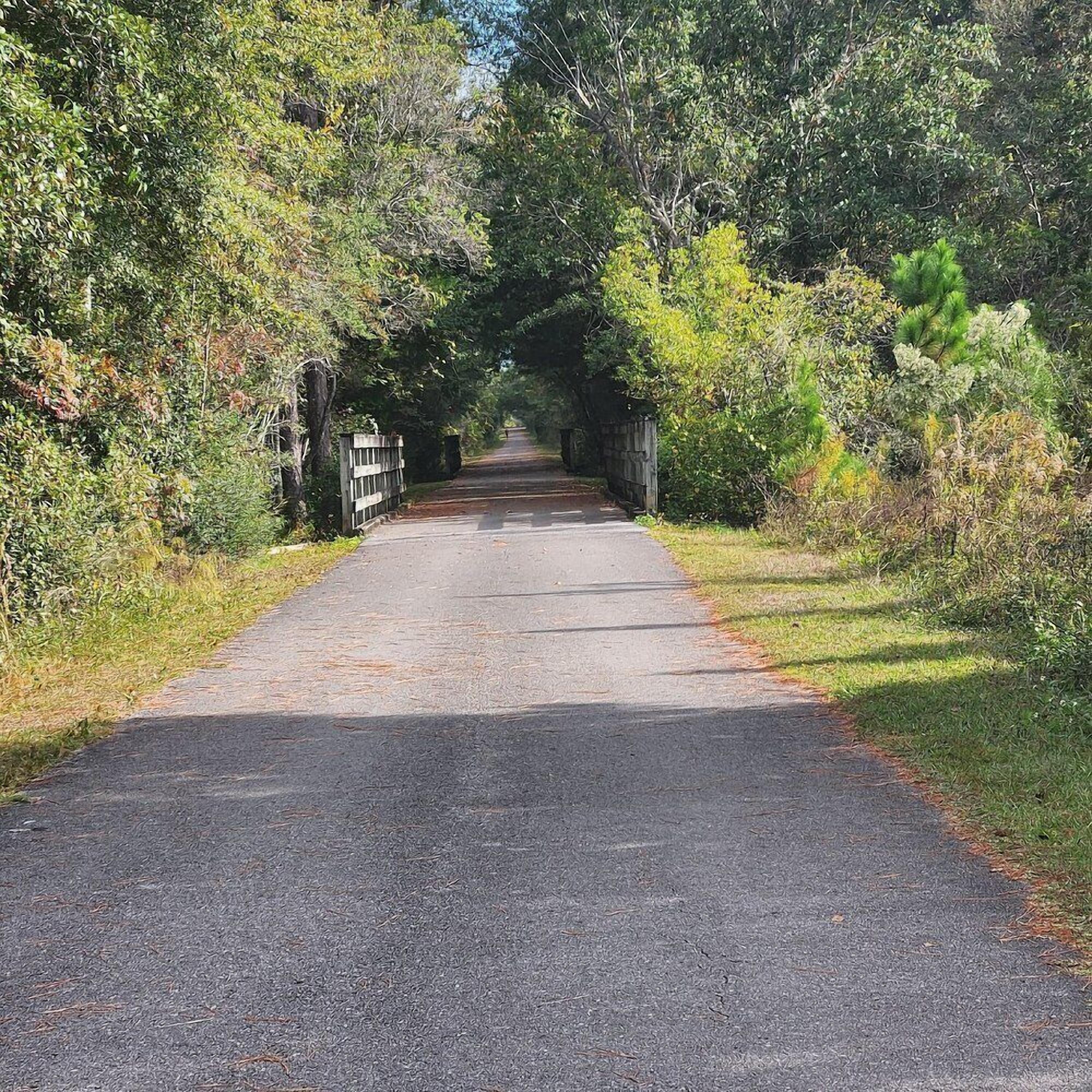 Une route asphaltée bordée d’une végétation luxuriante et d’une clôture en bois.