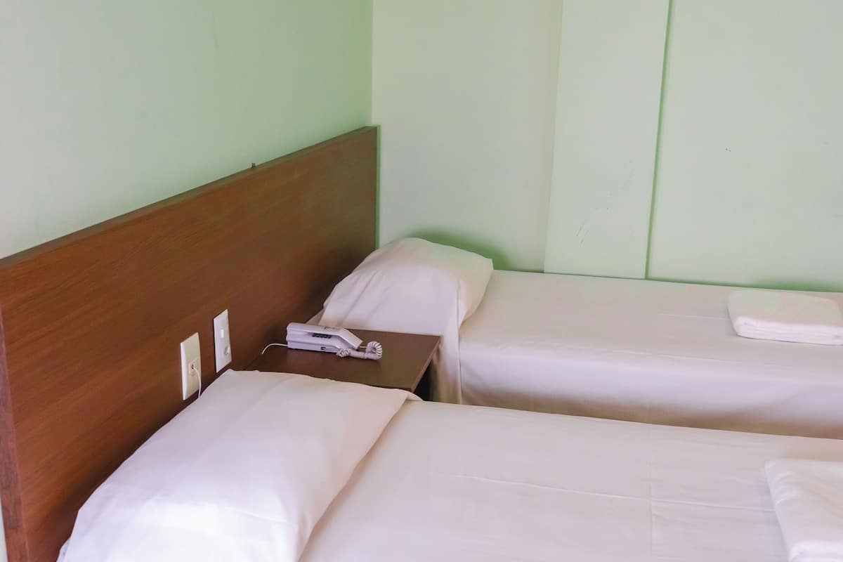 A room with two single beds, each with white bedding and a wooden headboard. There is a small table between the beds with a lamp and a book. The walls are painted light green, and the floor is tiled.