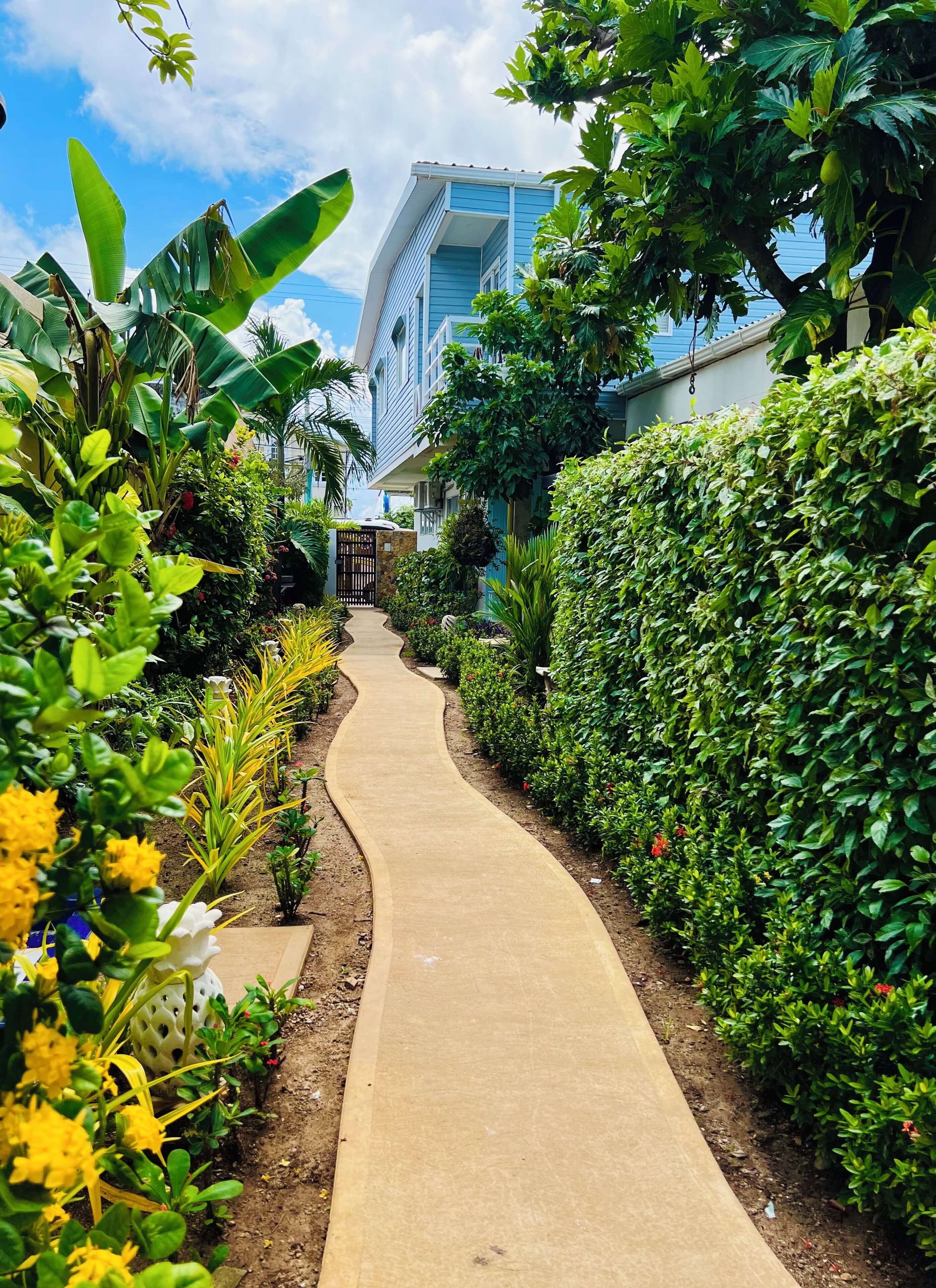 Un sendero bordeado por exuberante vegetación y un edificio con fachada azul.
