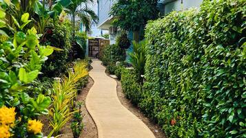 Un sendero bordeado por exuberante vegetación y un edificio con fachada azul.