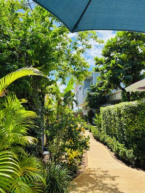 Garden - Summer House Inn San Andres (San Andrés)