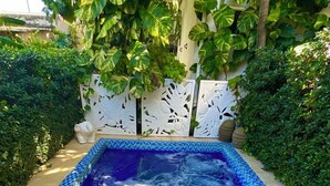 A rectangular swimming pool with blue mosaic tiles, surrounded by lush greenery and a decorative white fence. - Summer House Inn San Andres (San Andrés)