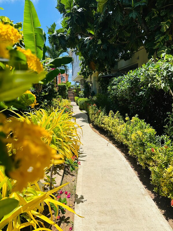 A pathway flanked by lush greenery and flowering plants, leading towards a building with a visible entrance. - Summer House Inn San Andres (San Andrés)