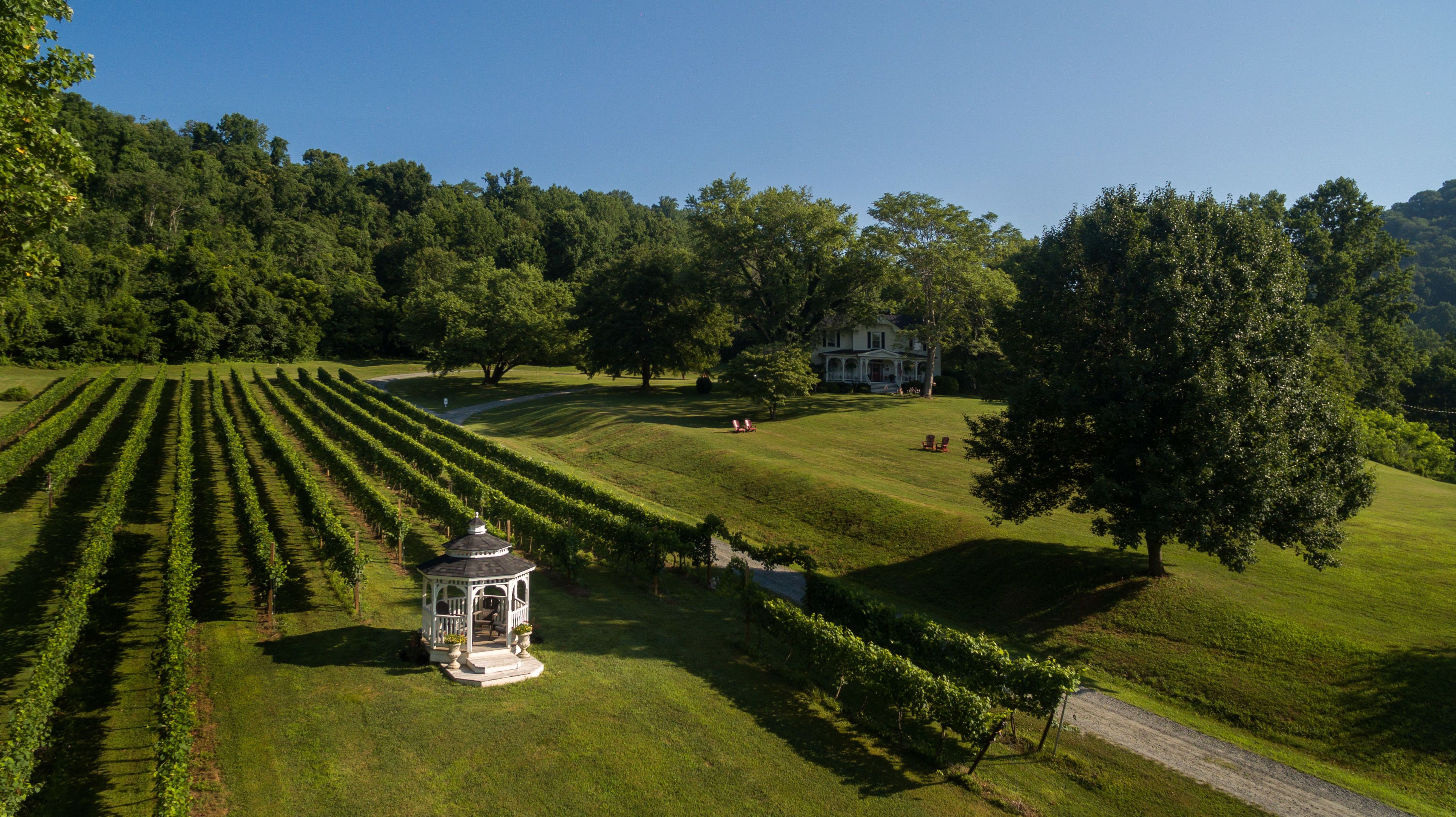 Un vaste domaine comprenant de longues rangées de vignes, un belvédère et une grande maison entourée d’une végétation luxuriante.