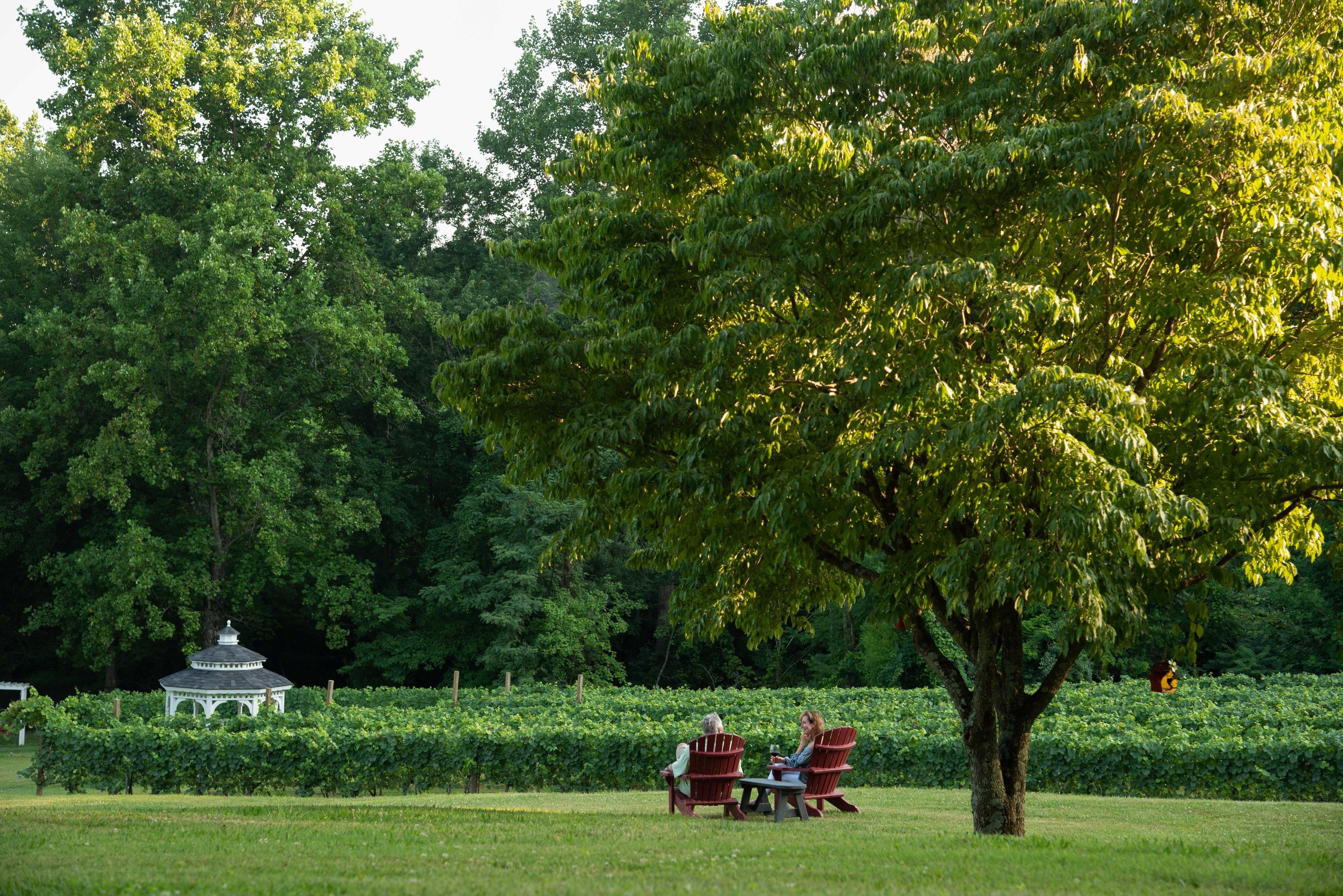 A gazebo in a lush garden with two people seated at a table under a large tree.