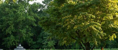 A gazebo in a lush garden with two people seated at a table under a large tree.