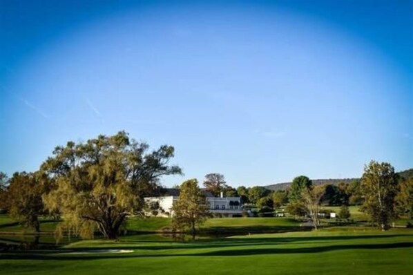 A golf course with a large tree and a building in the background.