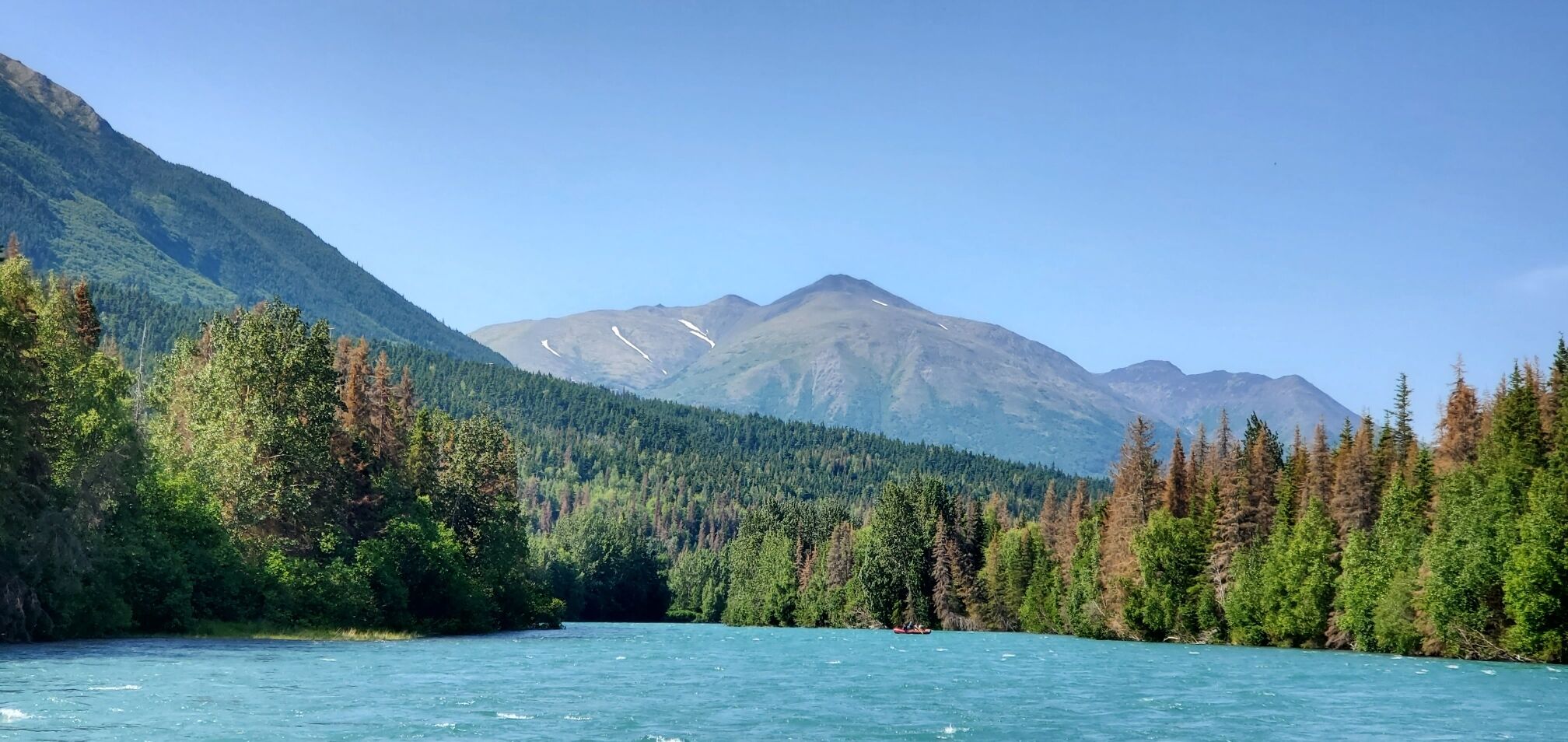 A river surrounded by dense forest and mountains.