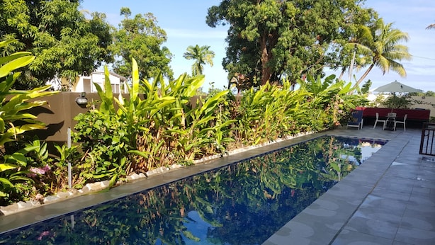 Une piscine dont le bord est revêtu de carrelage, entourée d’une végétation luxuriante et de palmiers.