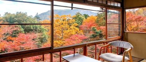 Tradisjonelt rom, terrasse | Utsikt fra rommet