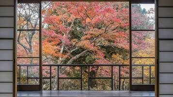 A room with tatami flooring, a sliding door with a view of autumn foliage, and a traditional Japanese-style window.