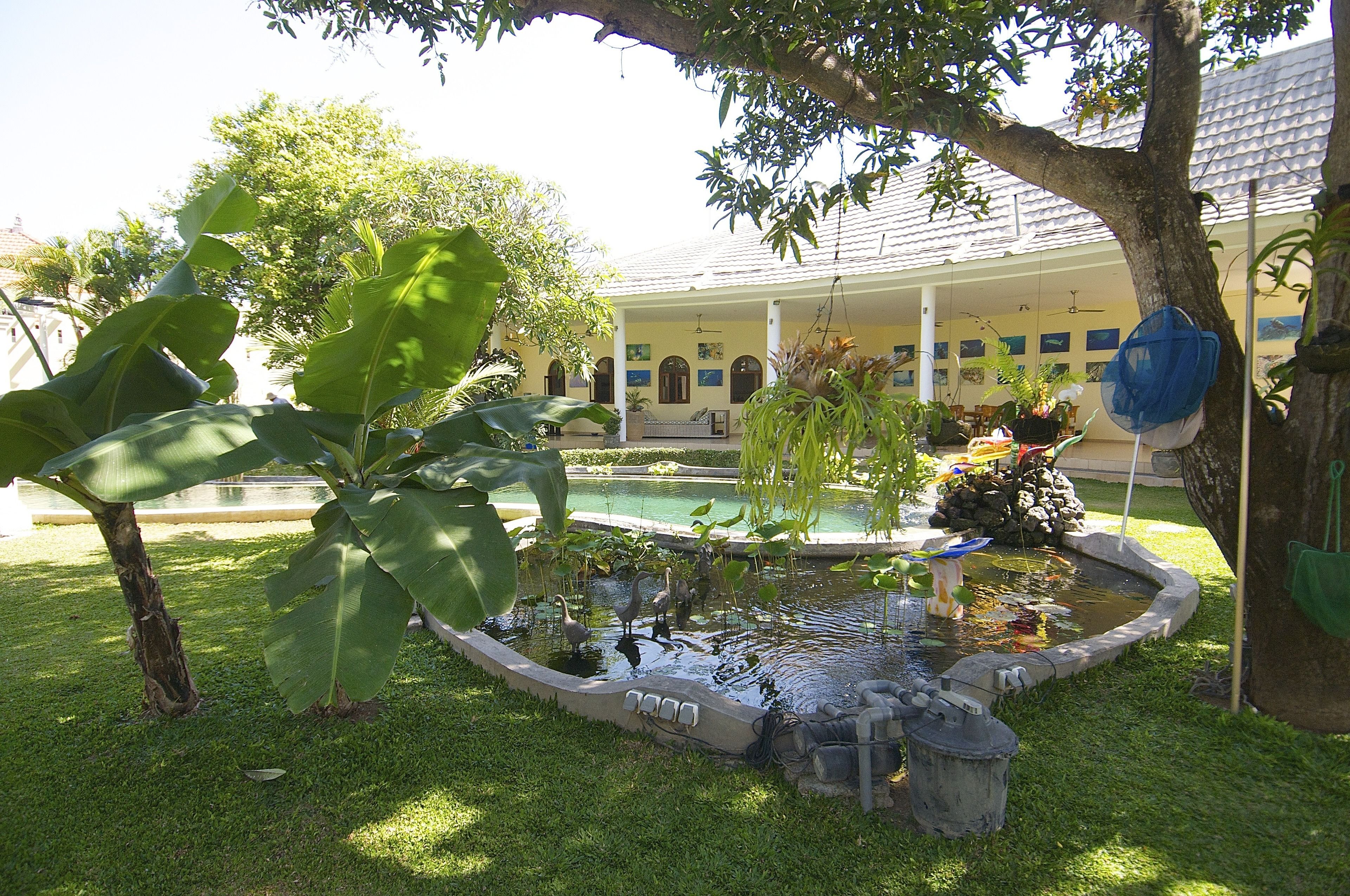 Un jardin avec un étang, un arbre et un bâtiment en arrière-plan.