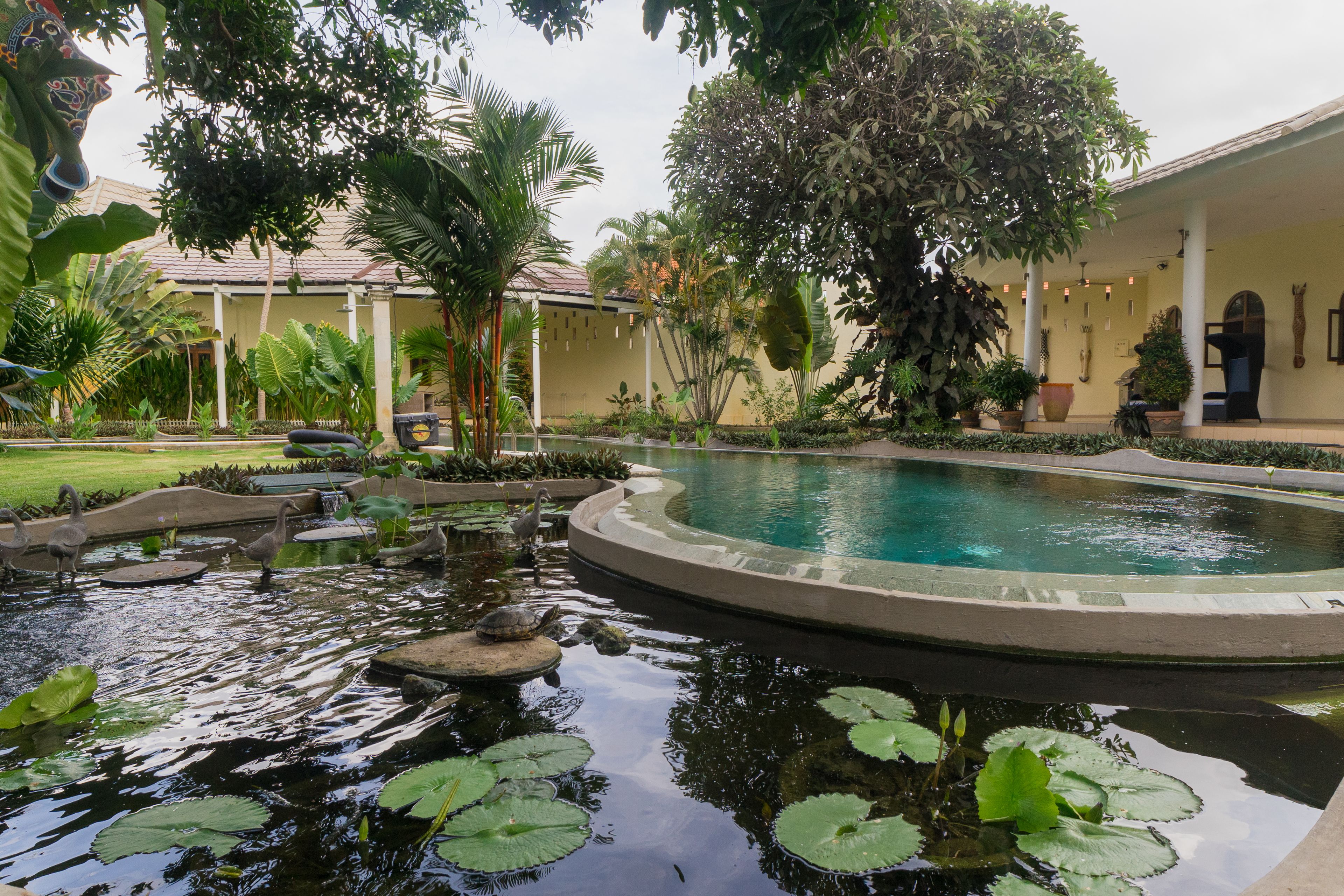 A pool surrounded by tropical plants and a building with a tiled roof.