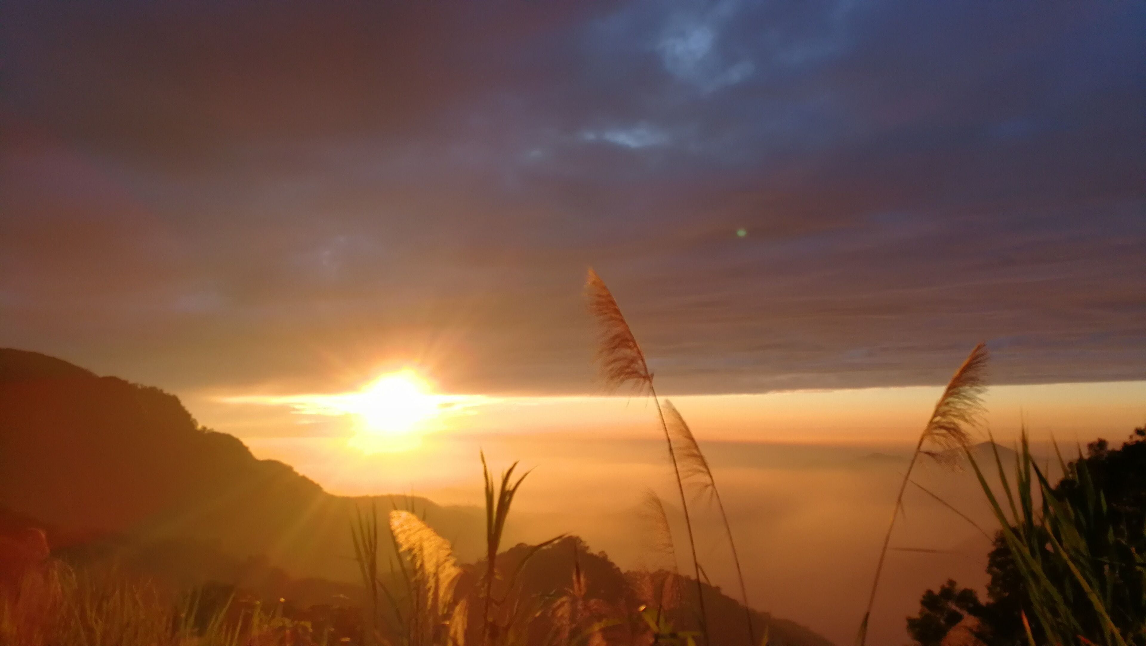 Een zonsondergang boven een bergachtig landschap, met hoog gras op de voorgrond.