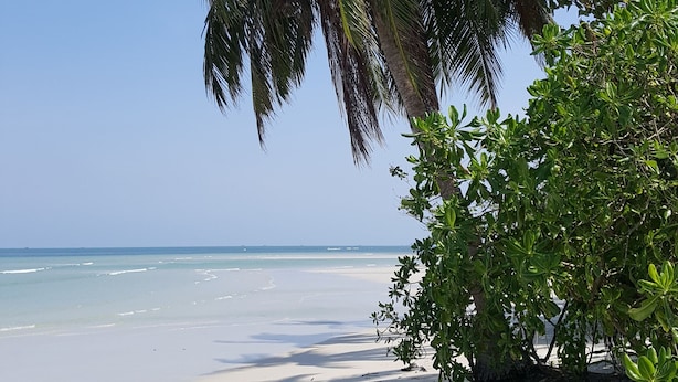A beach with white sand, palm trees, and clear blue water. - Mutiara Beach Resort (Bintan)