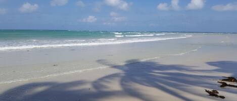 A beach with clear skies and calm waters.