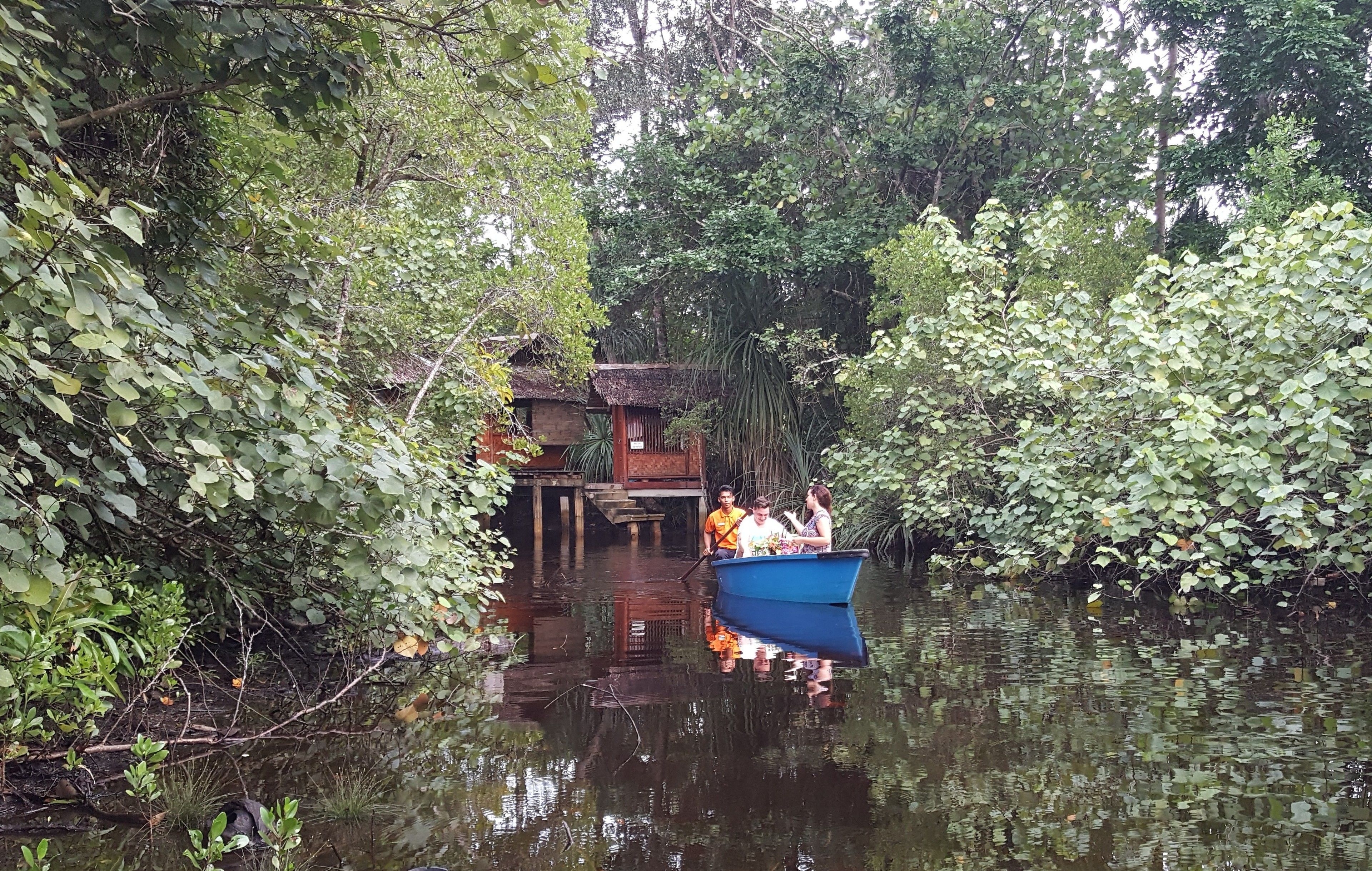 couples treatment room(s), body treatments, aromatherapy