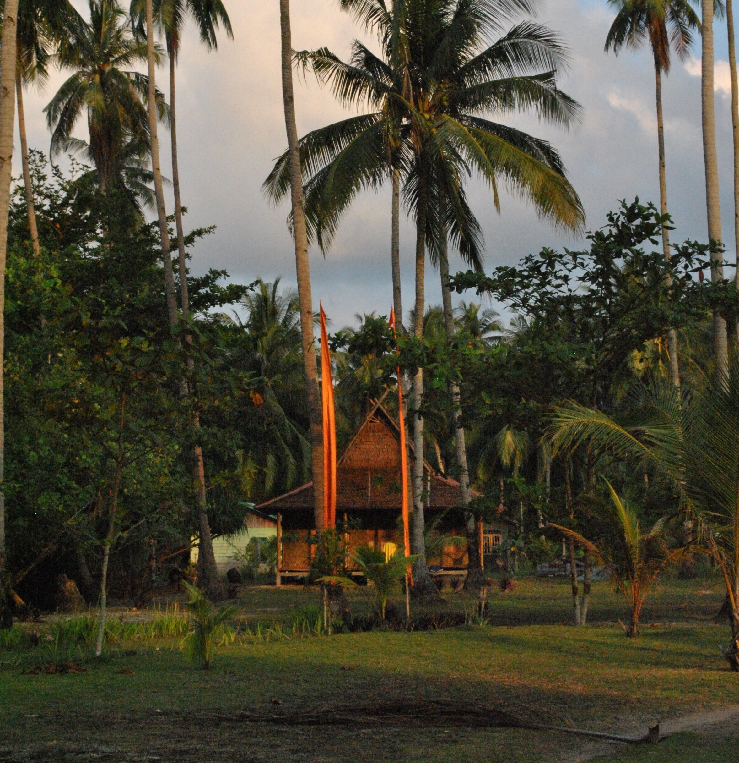 family quadruple room | garden view