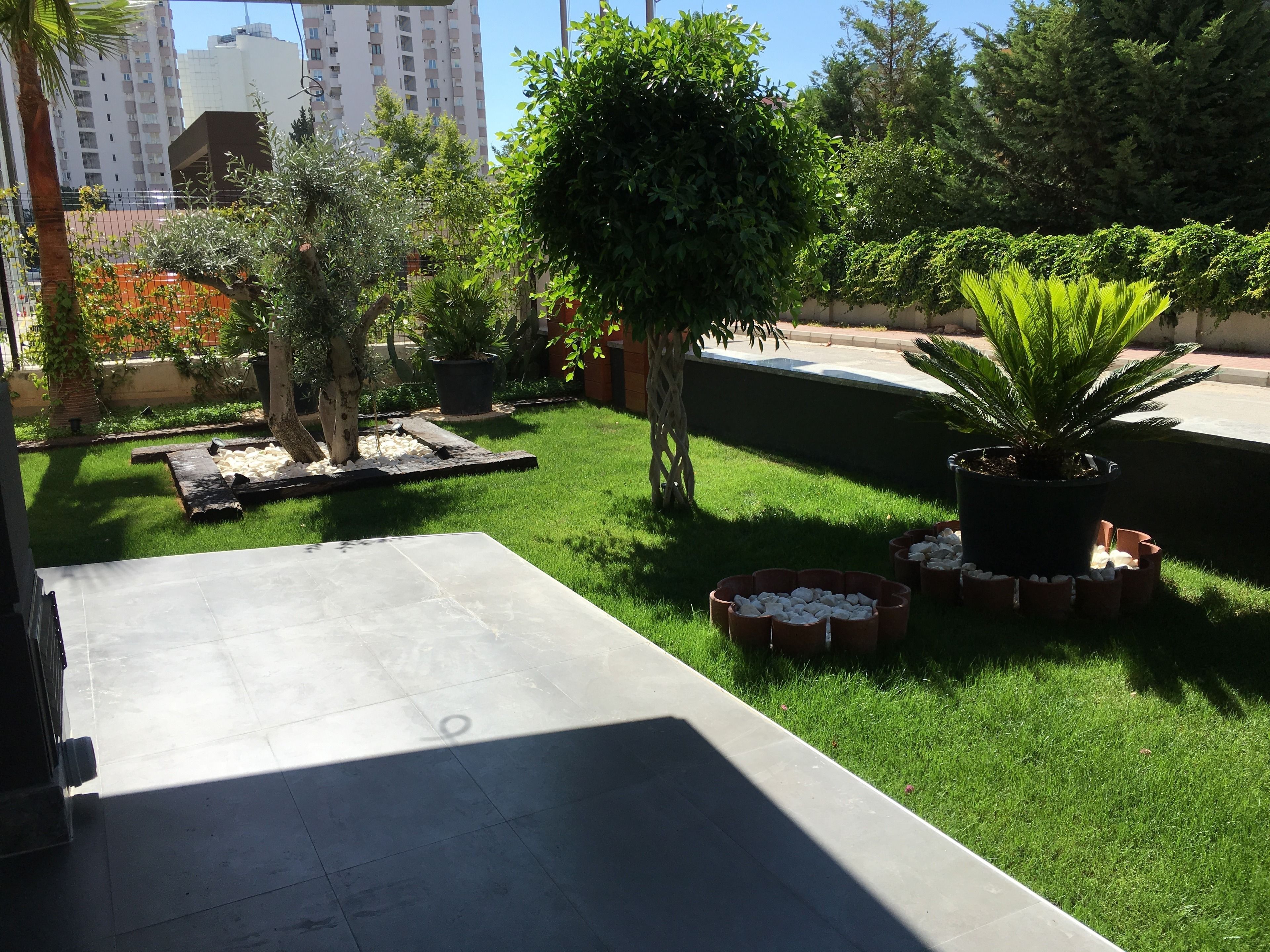 Une cour avec une terrasse en béton, de l’herbe verte et diverses plantes en pot.