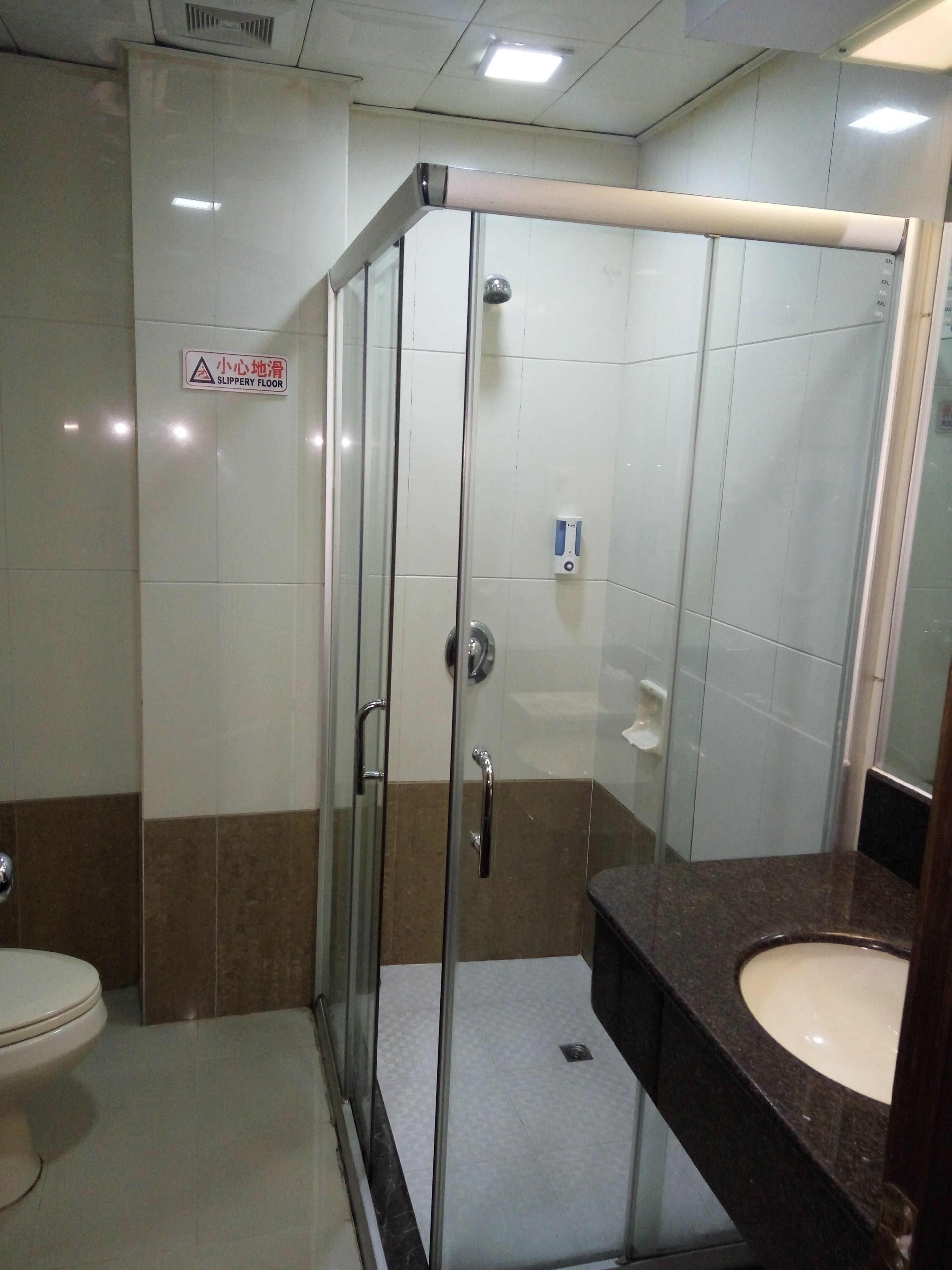A bathroom with a glass shower enclosure, a toilet, and a sink with a dark countertop.