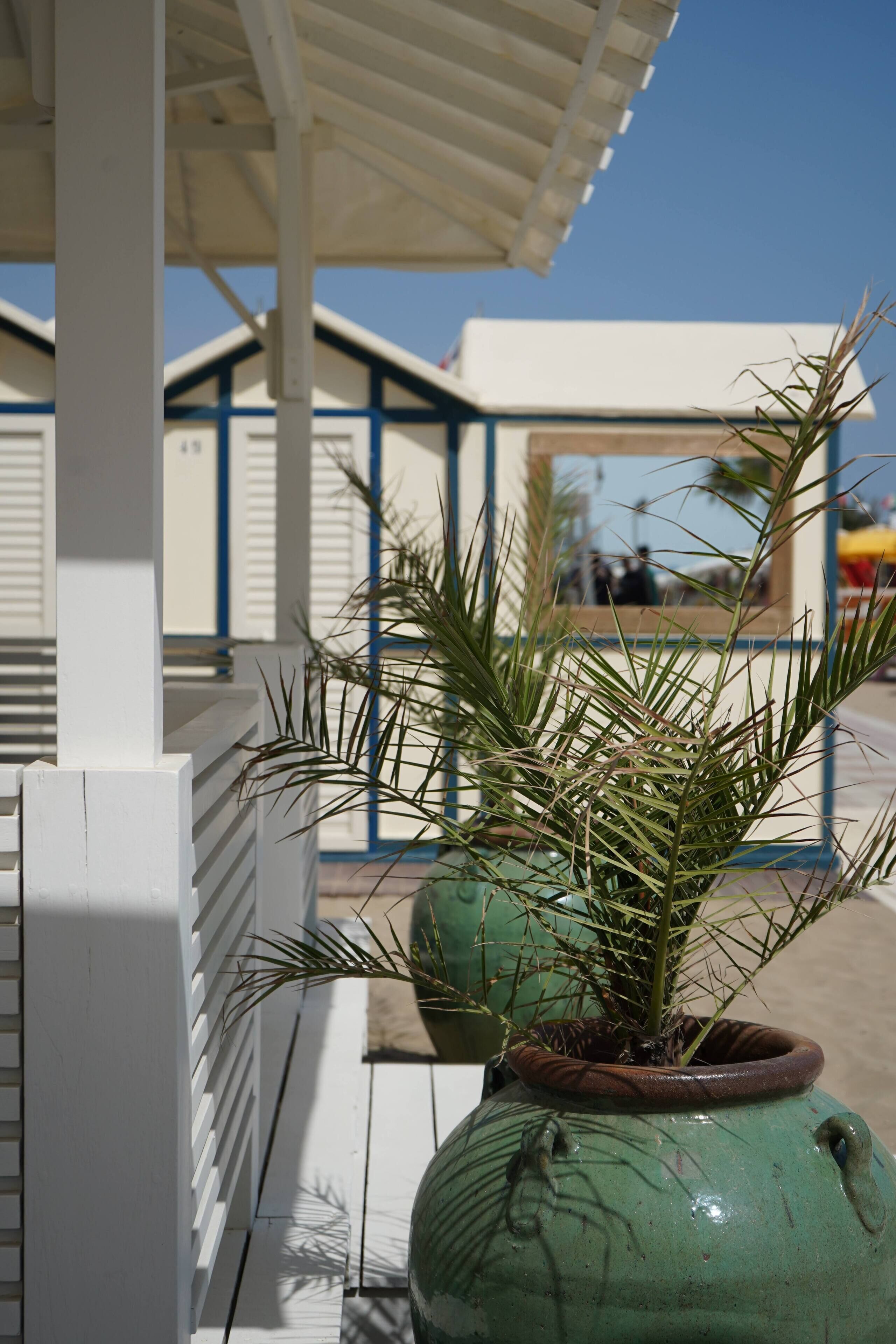 beach nearby, black sand