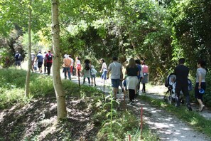 Hiking - Casa do Romualdo (Taboada)