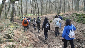 A group of people walking on a forest trail.