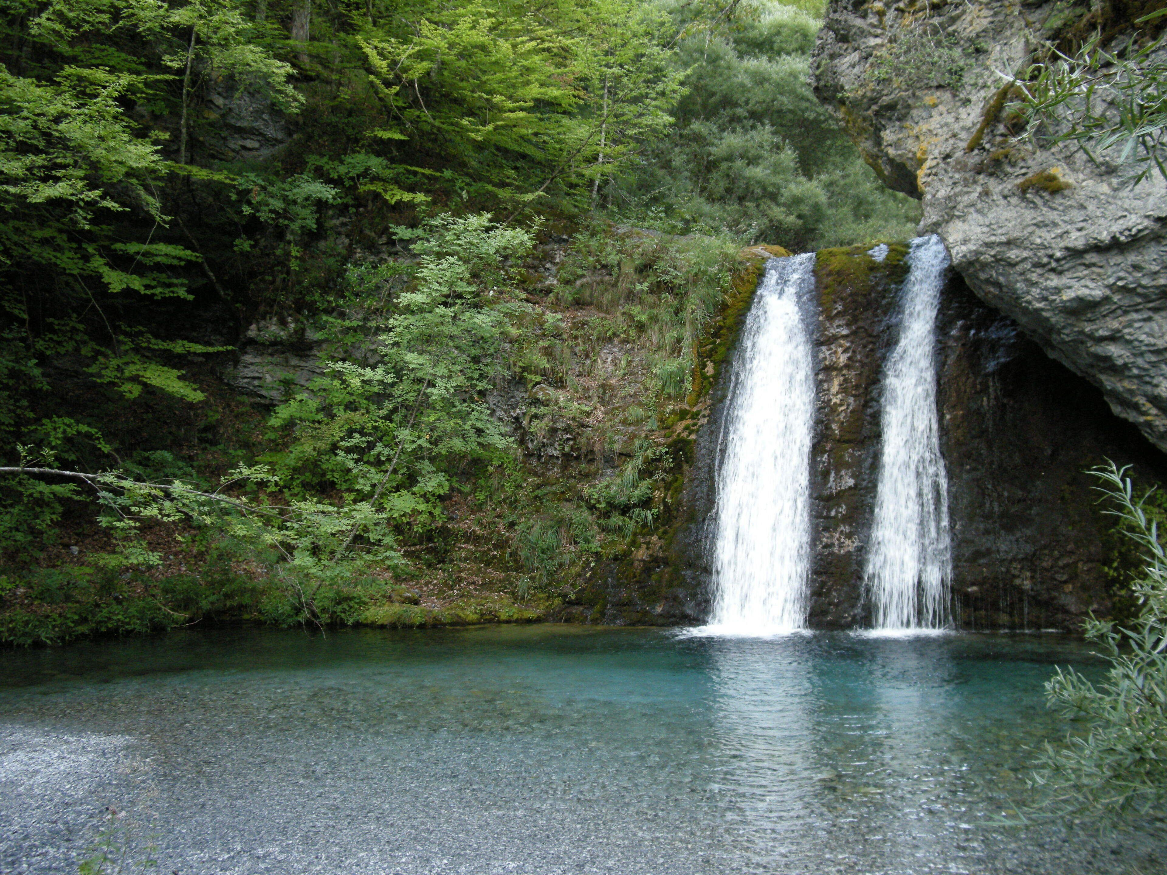 Ein Wasserfall stürzt in einen klaren Pool, umgeben von dichtem Wald.