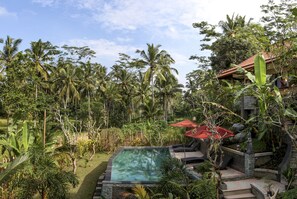 A pool with a stone border, surrounded by lush tropical vegetation and a red umbrella. - Tini Villa (Ubud)