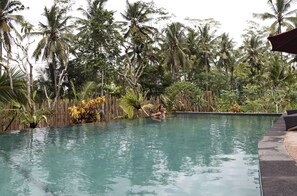 Una piscina rodeada de exuberante vegetación tropical y una valla de madera.