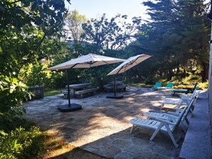 32 インチのスマートテレビ (デジタル放送視聴可)、テレビ