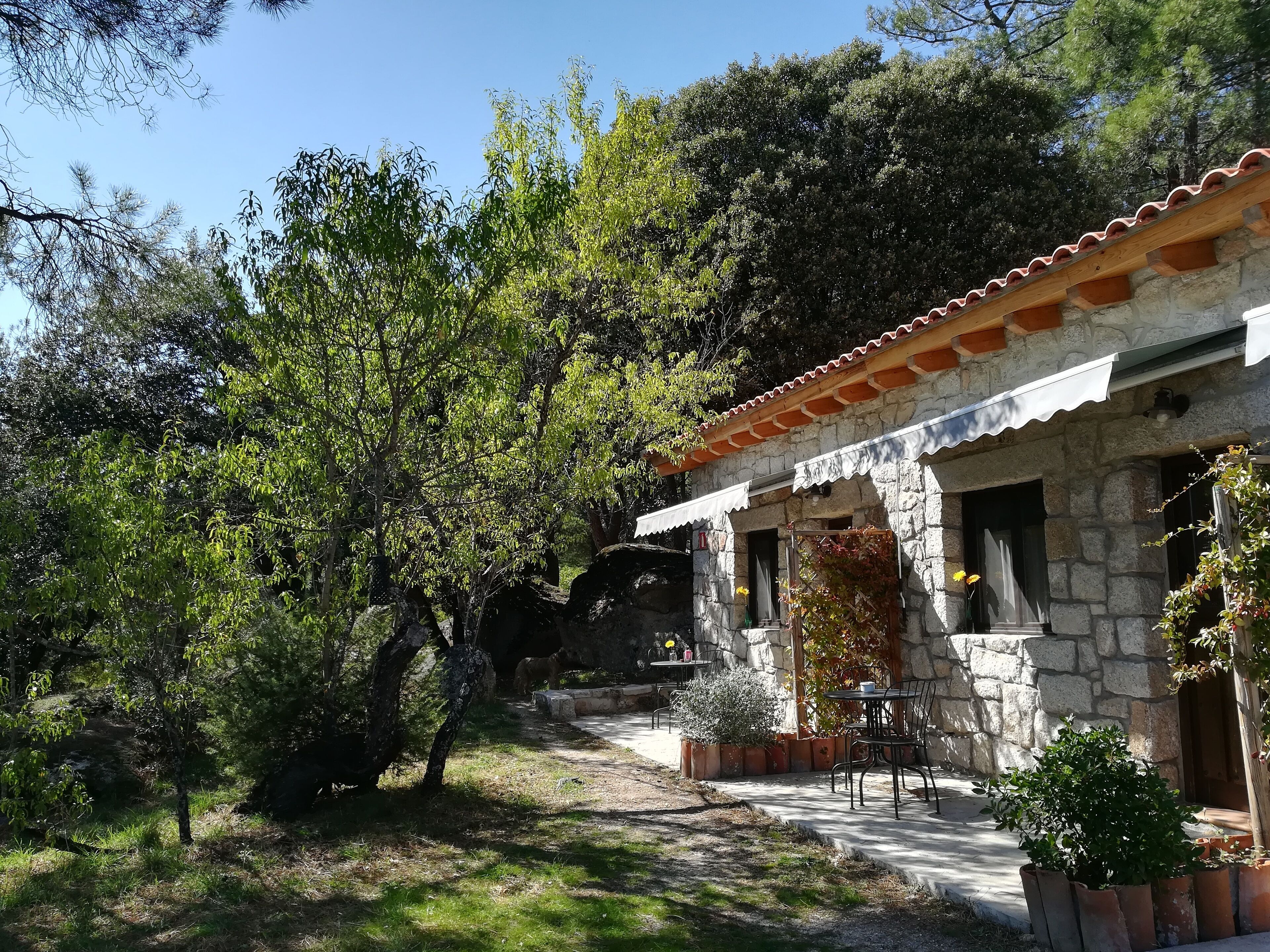 A stone building with a tiled roof, outdoor seating, and surrounding greenery.