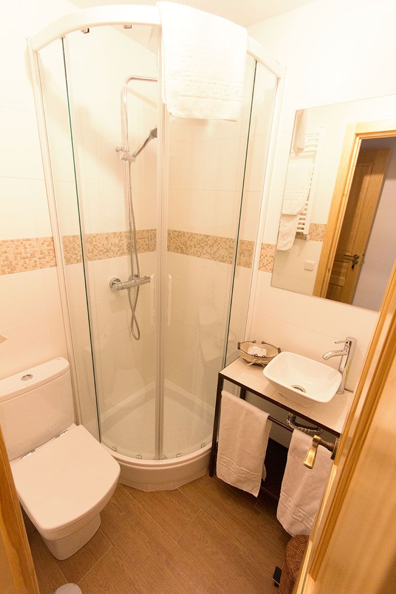 A bathroom with a glass-enclosed shower, a white toilet, a sink with a mirror, and a towel rack.