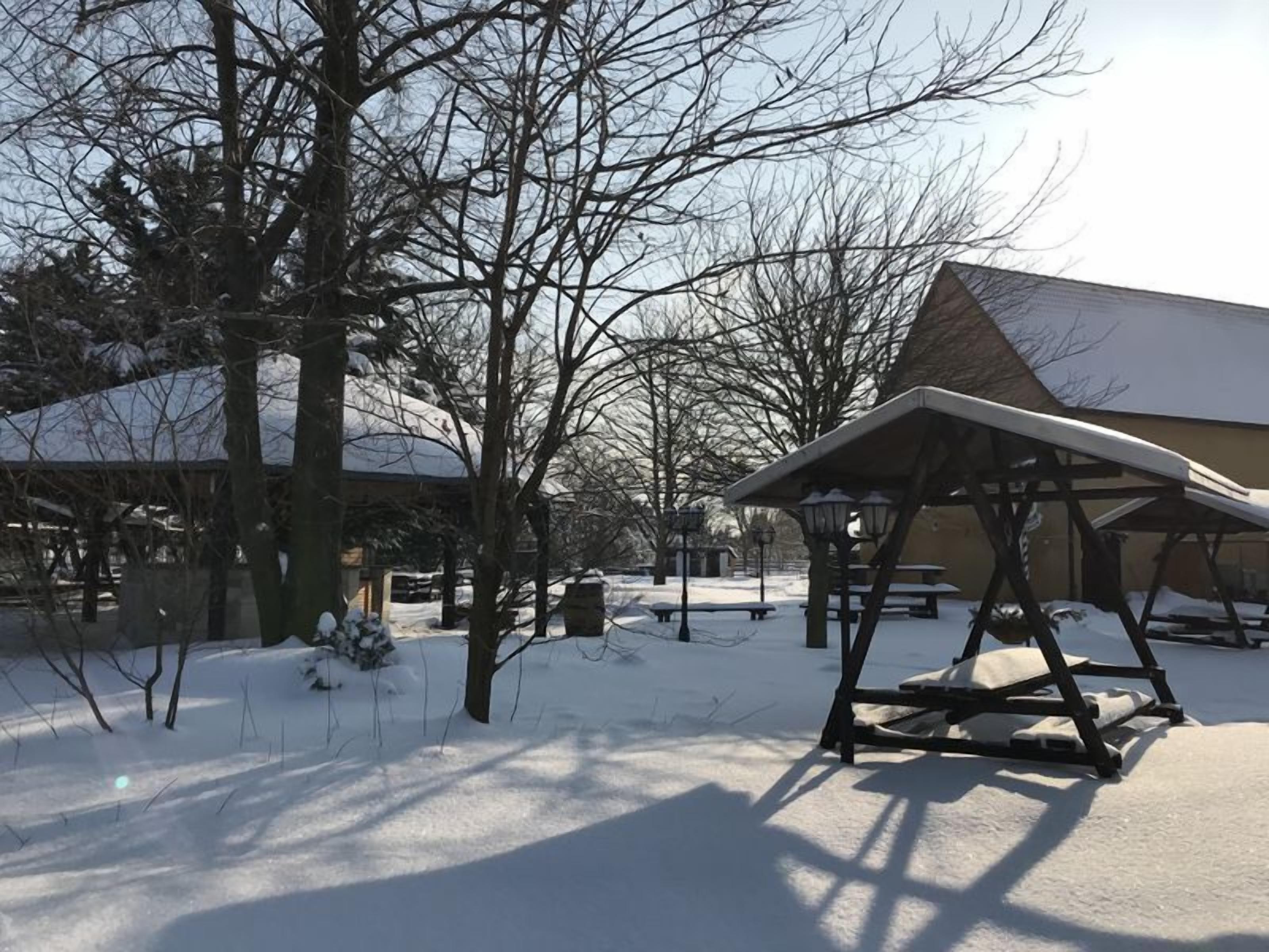 Double Room | Terrace/patio