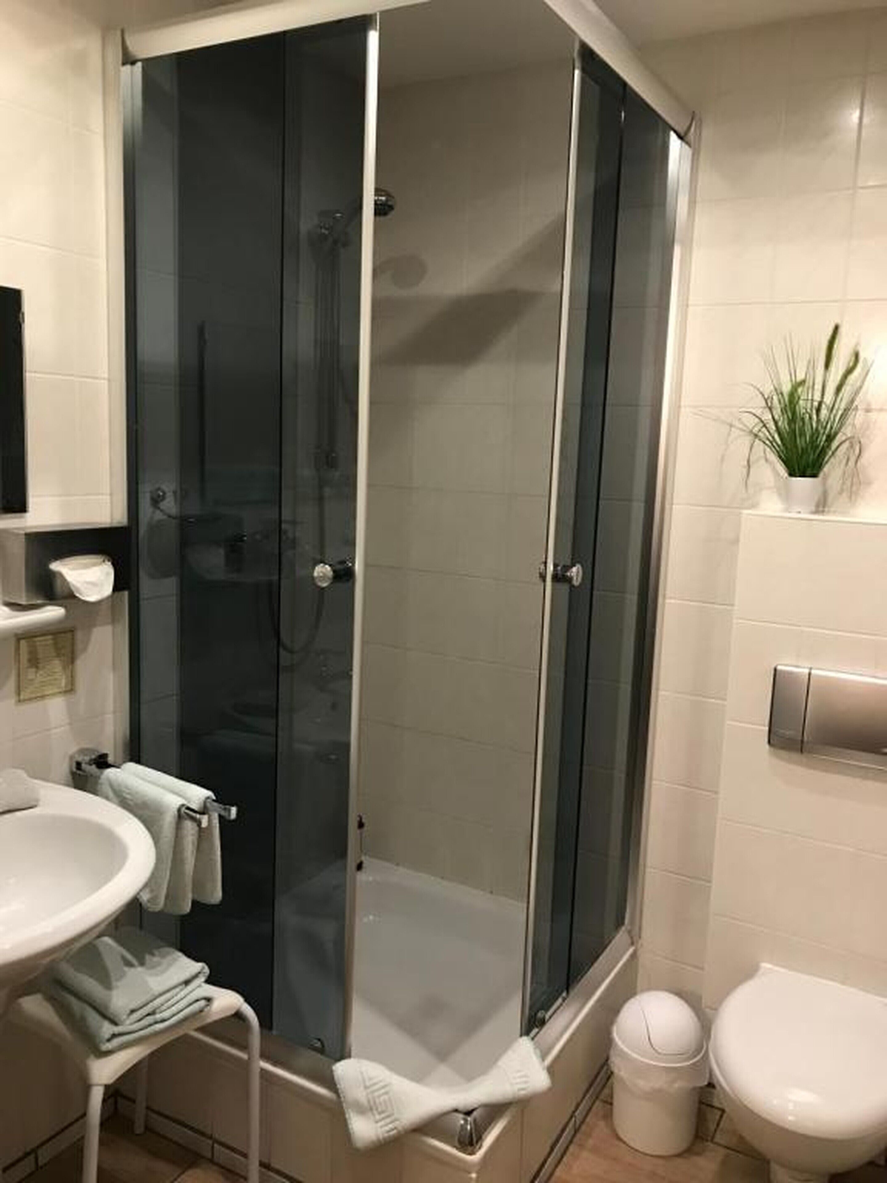 A modern bathroom with a glass-enclosed shower, a white sink, and a toilet.