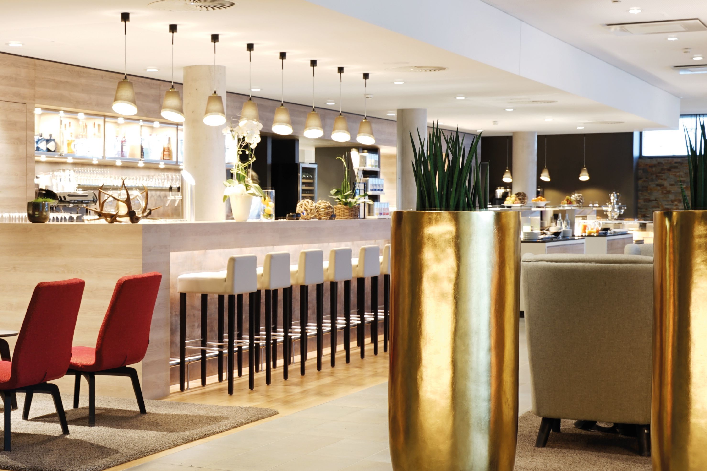 Bar (en la propiedad)