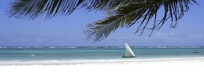 On the beach, white sand, beach bar