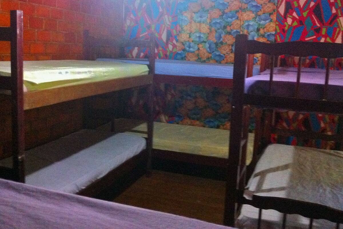 Shared Dormitory, Women only, Private Bathroom (Butterfly)
