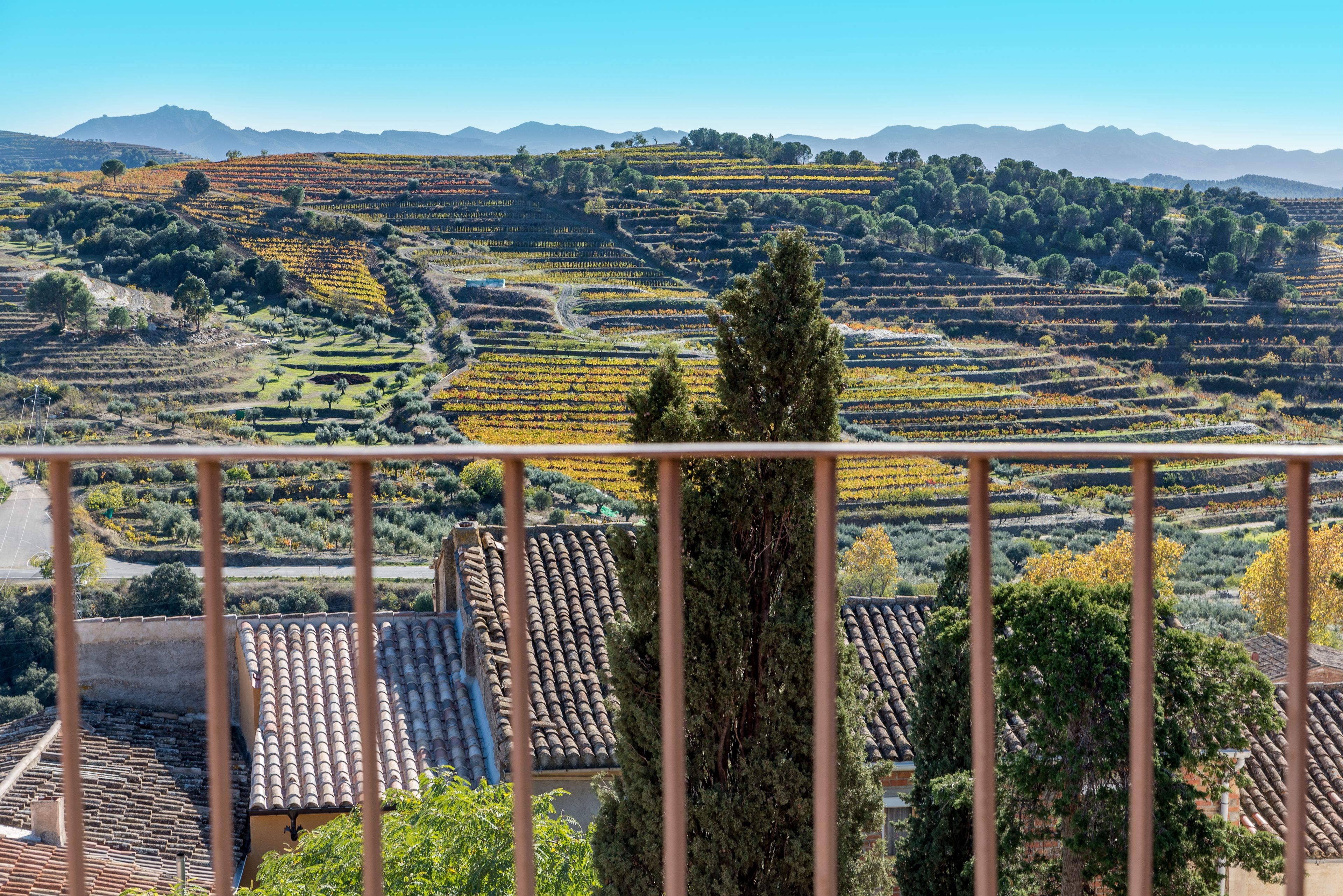 Una terraza con vistas a viñedos en terrazas y montañas lejanas.