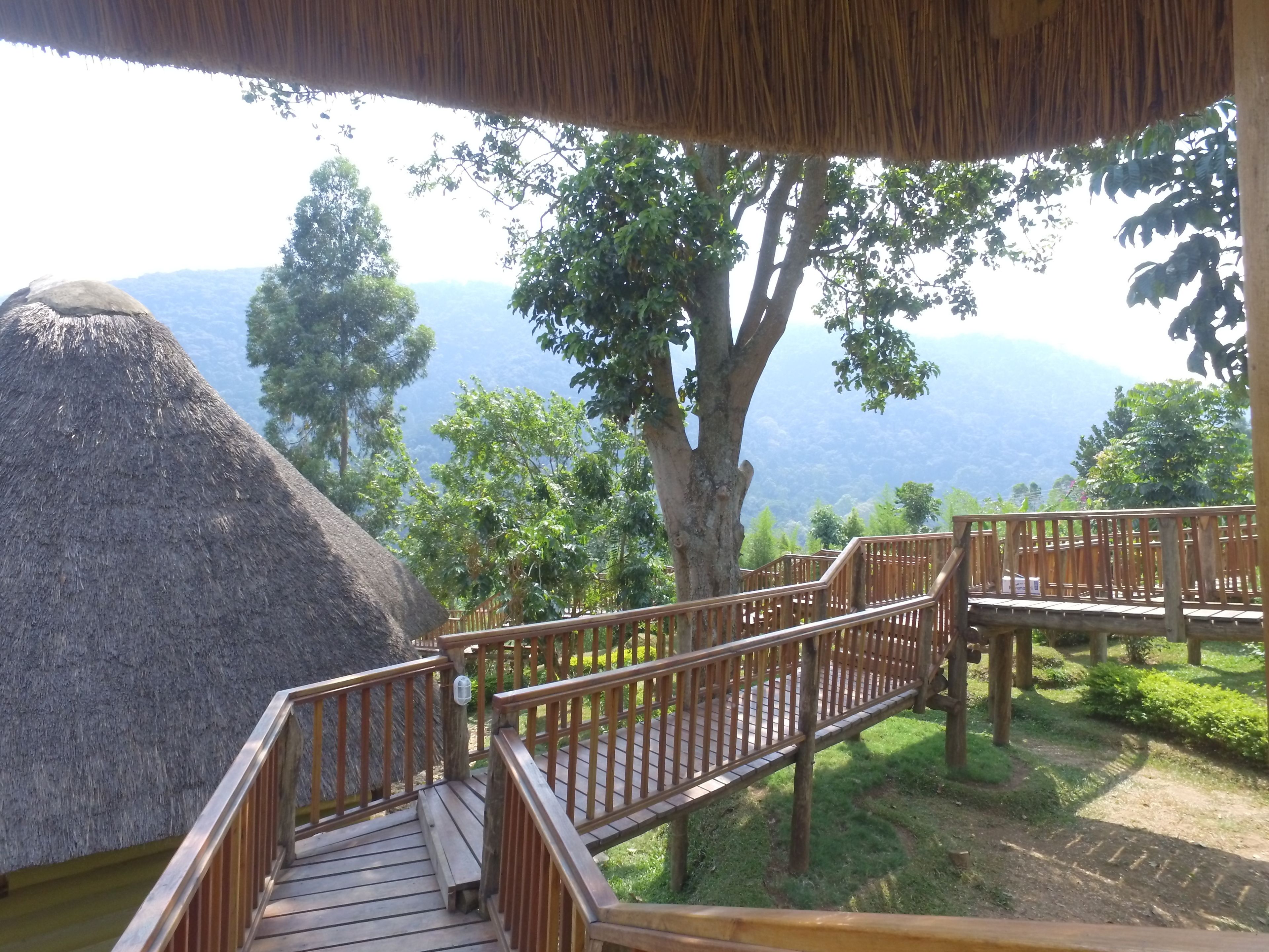 View from room