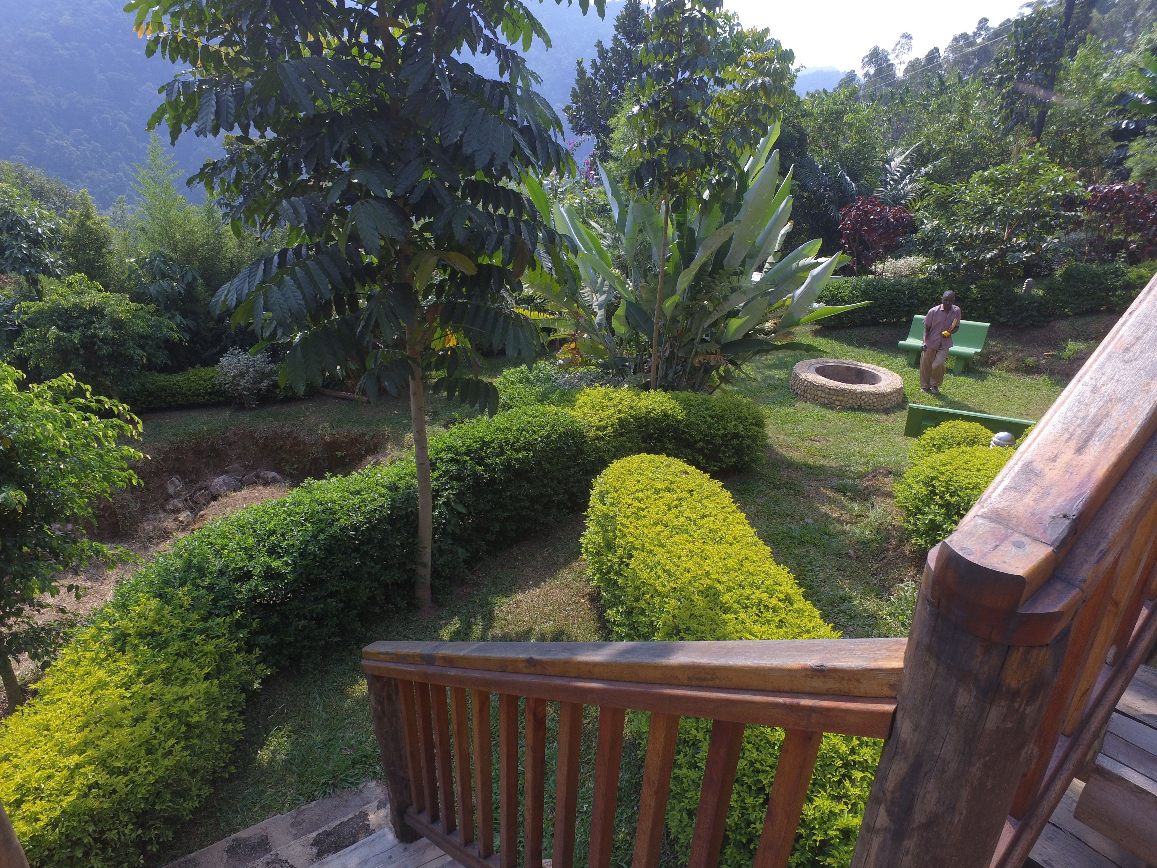 A garden with manicured hedges, a wooden deck, and a stone bench.
