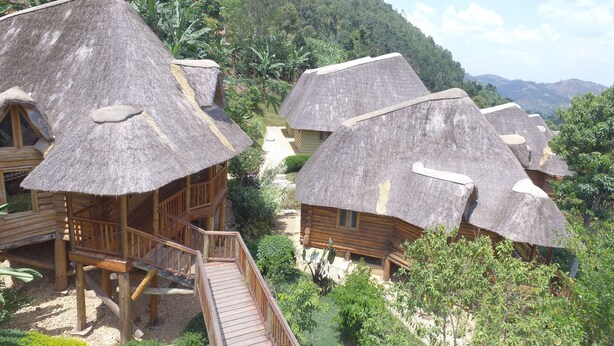 A resort with thatched-roof cabins, wooden balconies, and a wooden walkway.