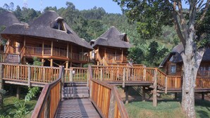 A wooden staircase leading to a thatched-roof cabin with a wooden deck and railing.