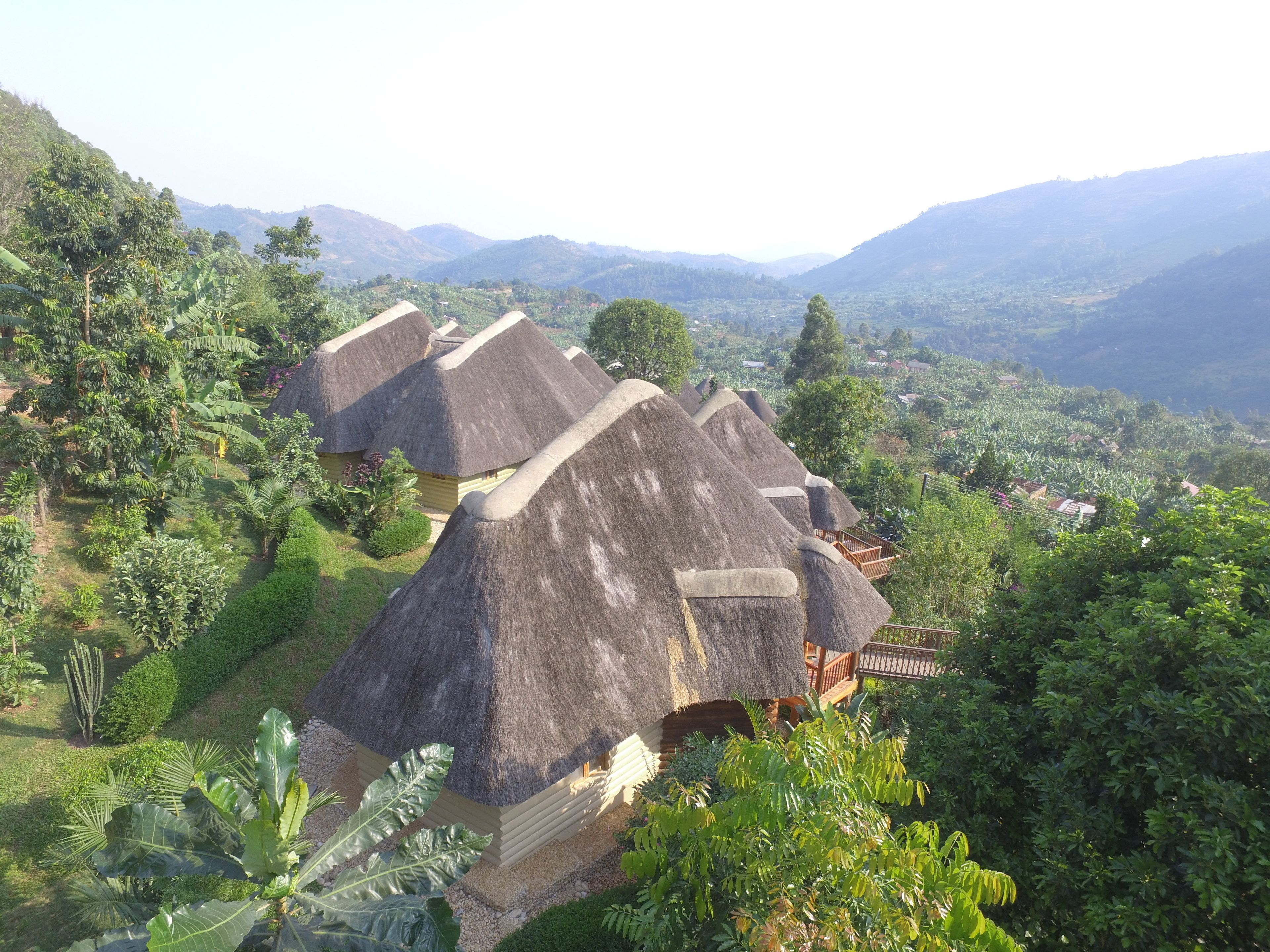 Thatched-roof huts with a wooden deck, surrounded by lush greenery and mountains in the background.
