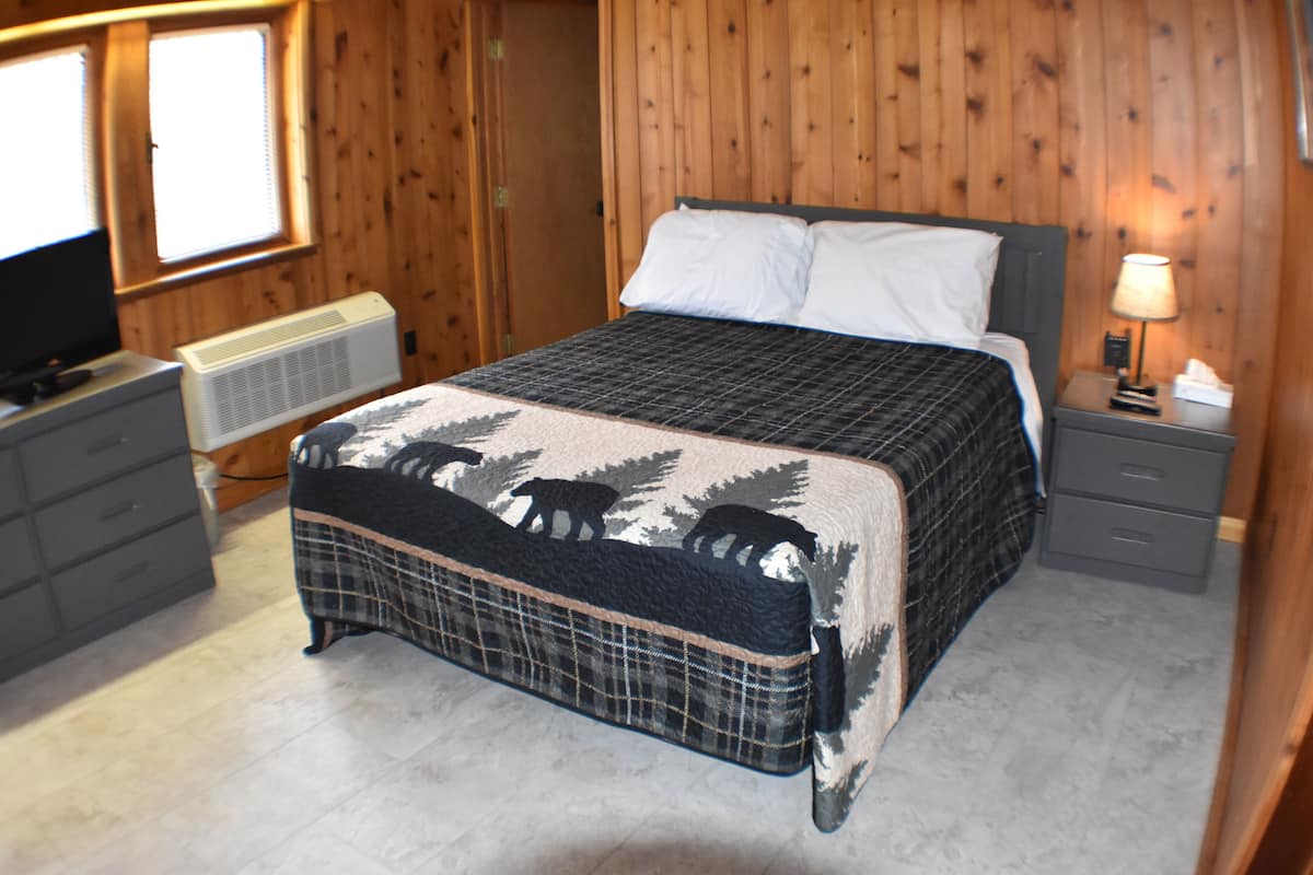 Une chambre à coucher avec un lit, une commode, une télévision et un radiateur.